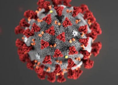 3D image of coronavirus